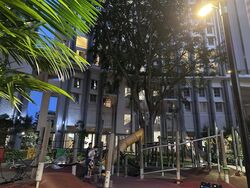 Blk 33 Skyresidence @ Dawson (Queenstown), HDB 4 Rooms #473697421